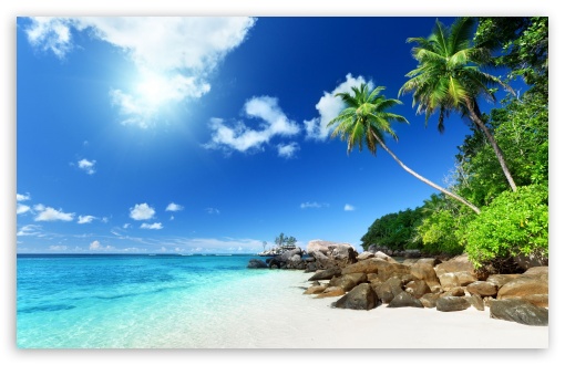 Download Paradise Beach UltraHD Wallpaper