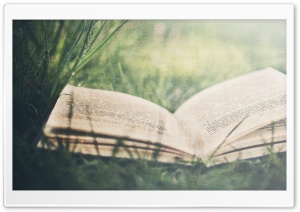 Open Book On Green Grass