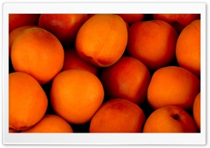 Apricots Fruit Ripe
