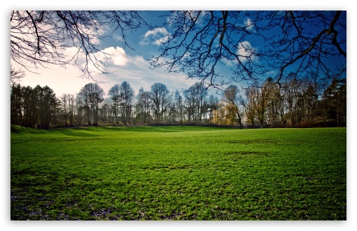 Download Beautiful Meadow, Spring UltraHD Wallpaper