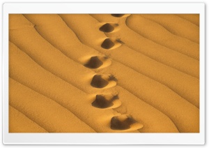 Footprints, Sand, Dunes, Desert