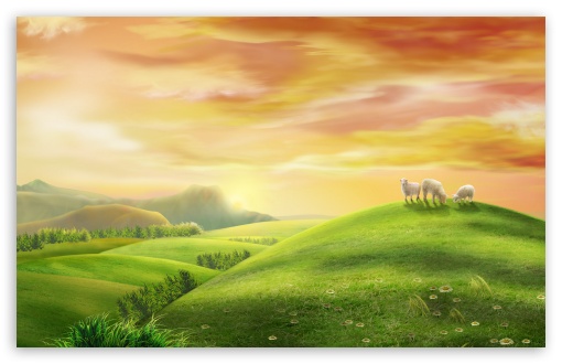 Download Sheeps UltraHD Wallpaper