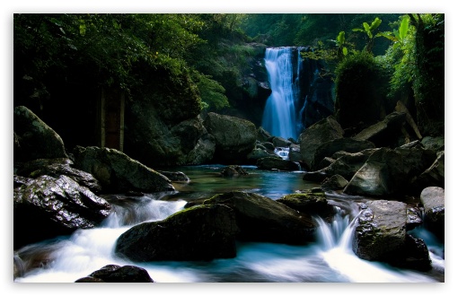 Download Forest Waterfall UltraHD Wallpaper