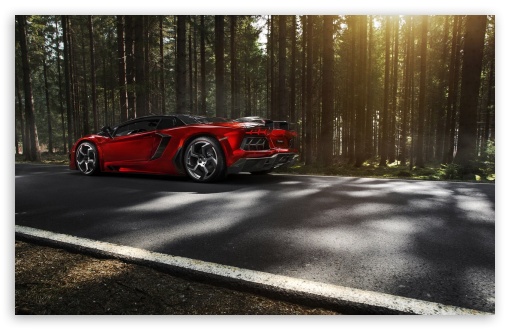 Download Lamborghini Aventador Mansory Forest UltraHD Wallpaper