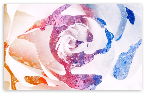 Download Color Splatter Rose UltraHD Wallpaper