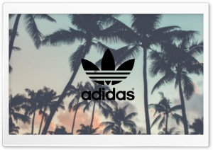 Adidas, Palm Trees Background