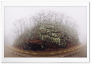 Fog, Mountain Road