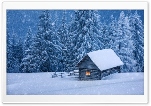 Snowy Forest Cabin