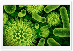 Bacterias 3D