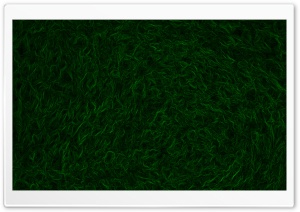 Green Carpet Abstract