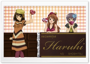 The Melancholy of Haruhi...