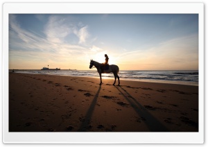 A Horse Ride On The Beach