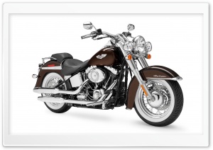Harley-Davidson FLSTN Softail...