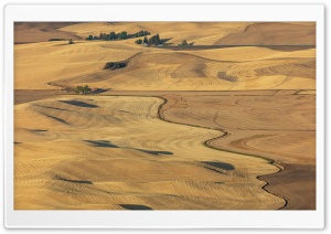 Aerial View, Rolling Hills,...