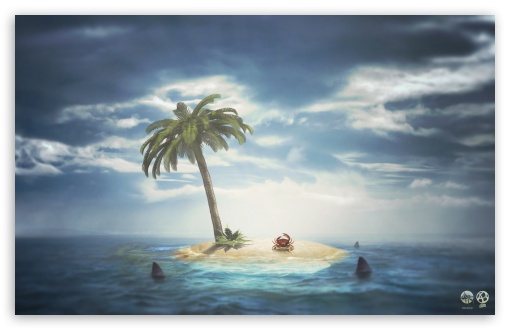 Download Summer by Artem Basok UltraHD Wallpaper