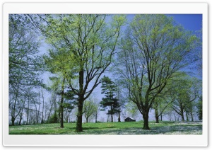 Spring Meadow Lexington Kentucky