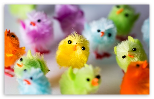 Download Multi Colored Easter Chicks UltraHD