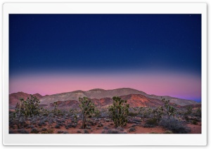 Pink Sunset, Desert