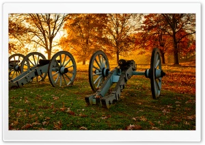 Cannons Old Artillery