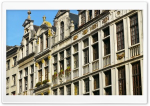 Brussels Old Buildings