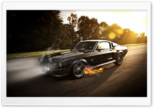 Mustang GT Fastback