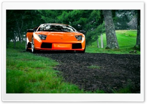 Lamborghini Murcielago Orange