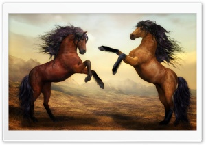 Two Beautiful Horses Fighting