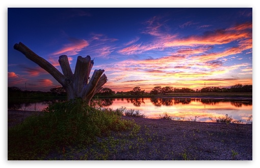 Download Wetlands Panorama UltraHD Wallpaper