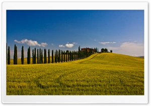 Italian Landscape