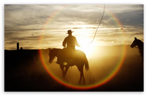 Download Quarter Horse Ponderosa Ranch Seneca Oregon UltraHD Wallpaper