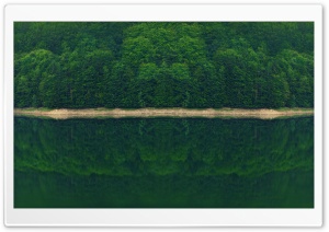 Dark Green Forest by the River