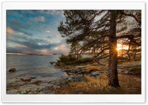 Finland Landscape