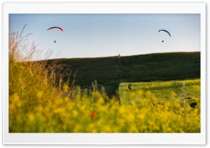 Paragliders In The Air