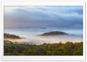 Misty Autumn Morning