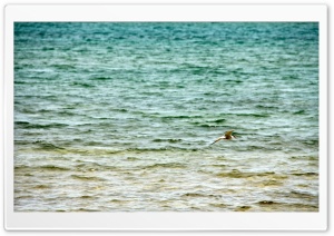 Beach In Blue Mountains, Ontario