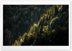 Mountain Landscape, Nature