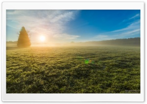 Morning Mist, Glowing Sunrise