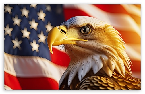 Download Liberty Eagle USA Flag UltraHD Wallpaper