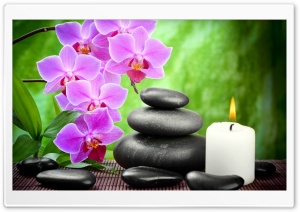 Spa, Candle, Orchid Flowers