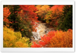 Blue Ridge Parkway, North...