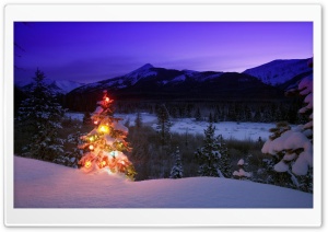 Christmas Tree With Lights...