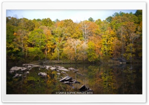 Sweetwater Creek Park