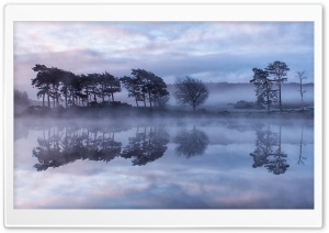 Reflections in the Mist