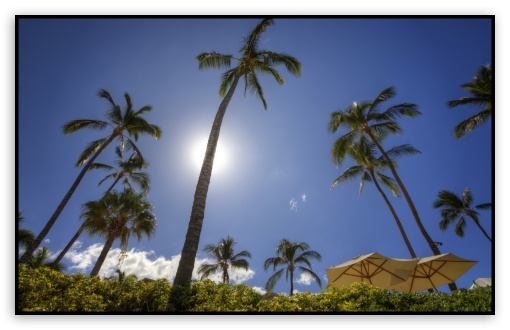 Download Maui UltraHD Wallpaper