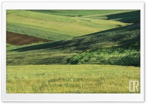 Fields in spring