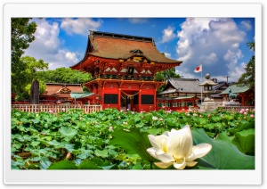 Iga Hachiman Shrine And Lotuses