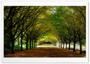 Autumn, Anglesey Abbey,...