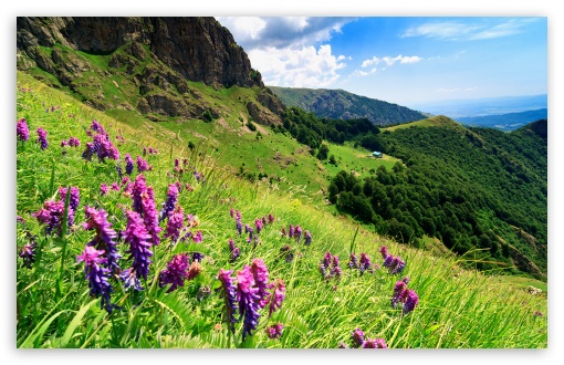 Download Balkan Mountains - Bulgaria UltraHD Wallpaper