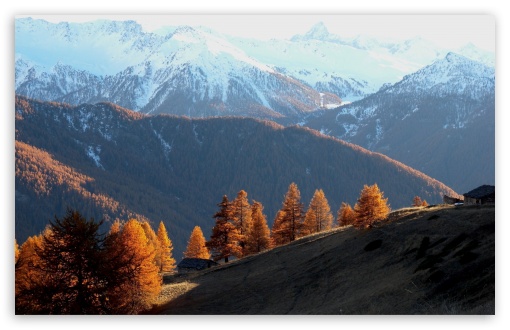 Download Early Winter Landscape UltraHD Wallpaper