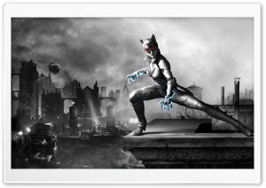 Batman Arkham City - Catwoman...